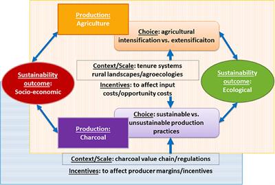 Conceptual Analysis: The Charcoal-Agriculture Nexus to Understand the Socio-Ecological Contexts Underlying Varied Sustainability Outcomes in African Landscapes